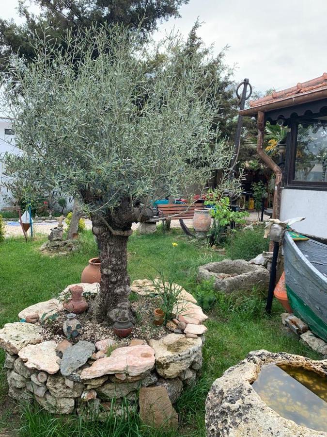La Doi Pasi De Mare Hotel Vama Veche Exterior foto